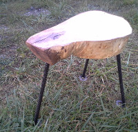 Maple Stump Table